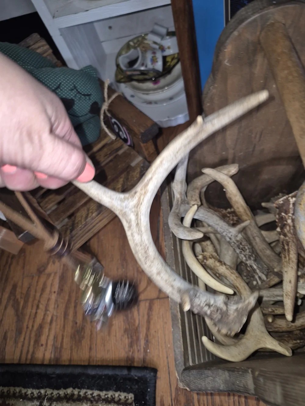 Whitetail Natural Deer Antler Chews. Lot Of 10. Various Sizes.
